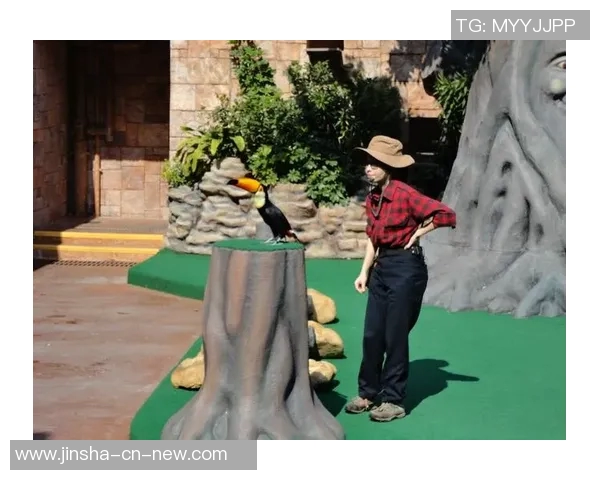 澳门金沙娱乐场438-澳门金沙娱乐场的奇幻世界—探寻No.438的神秘魅力-澳门金沙娱乐场438